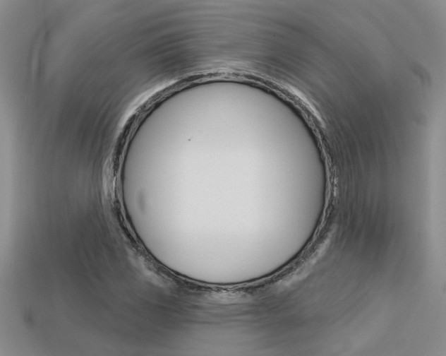 X0000113271117200909101305