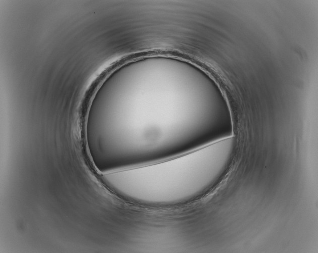 X0000113271118200909101305