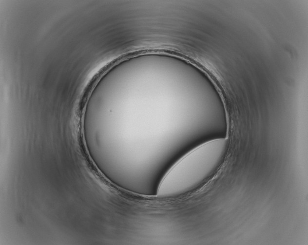 X0000113271119200909101305