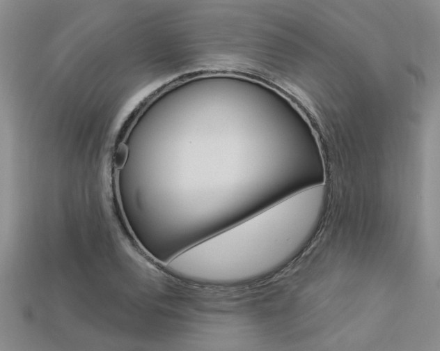 X0000113271120200909101305