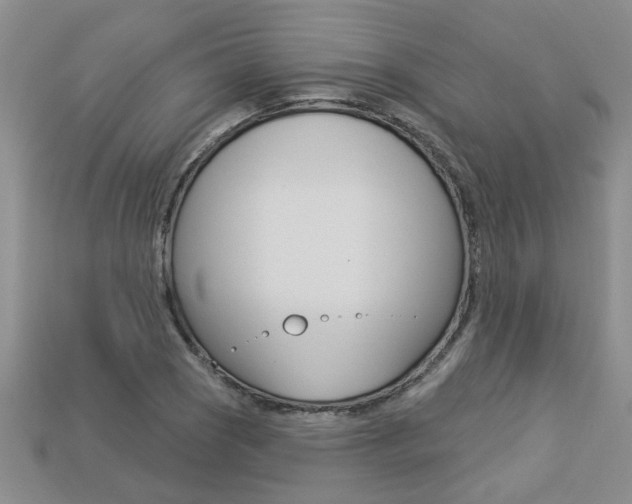 X0000113271121200909101305