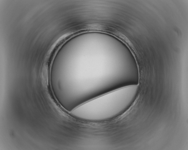 X0000113271123200909101305