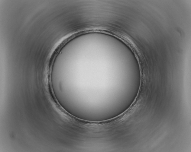 X0000113271124200909101305