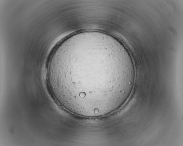 X0000113271125200909101305