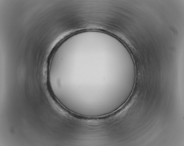 X0000113271126200909101305