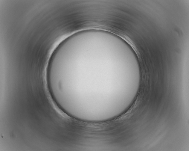 X0000113271128200909101305