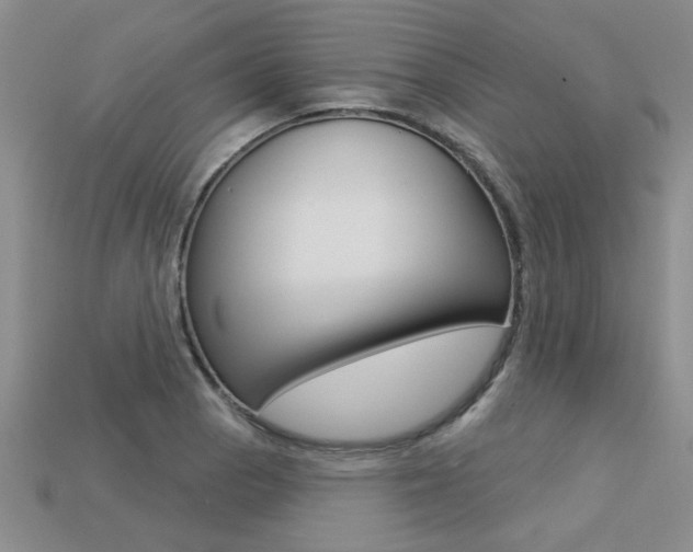X0000113271129200909101305