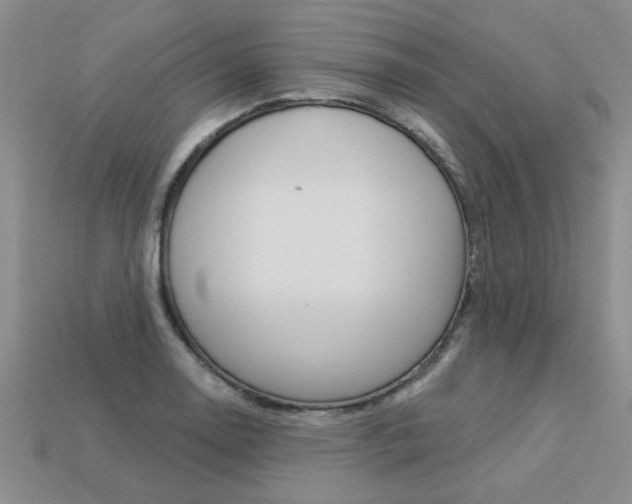 X0000113271130200909101305