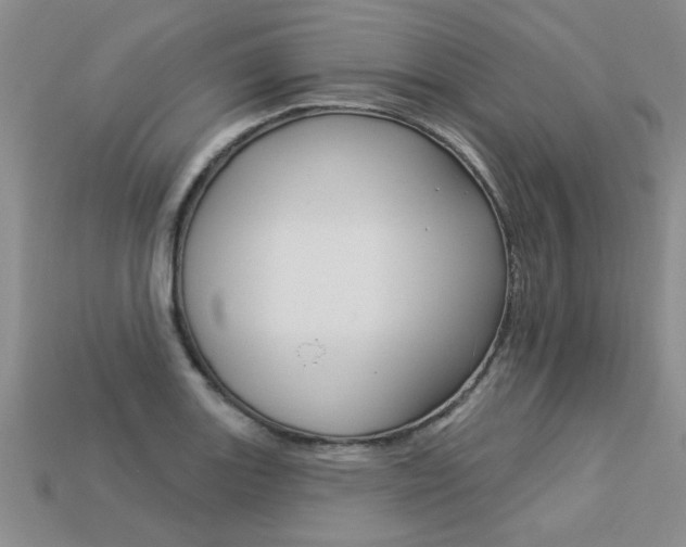 X0000113271131200909101305