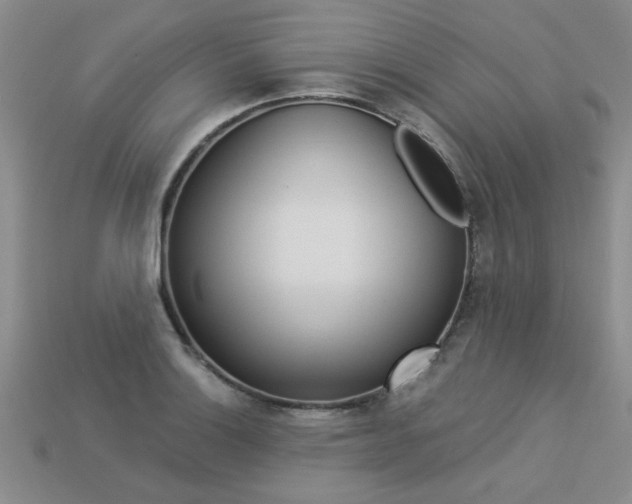 X0000113271132200909101305