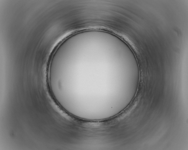 X0000113271134200909101305