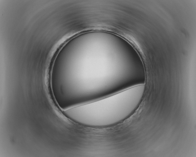 X0000113271136200909101305