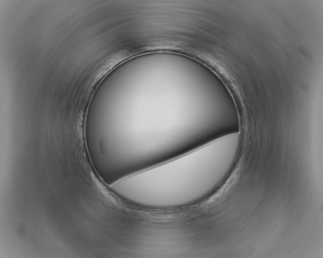 X0000113271137200909101305