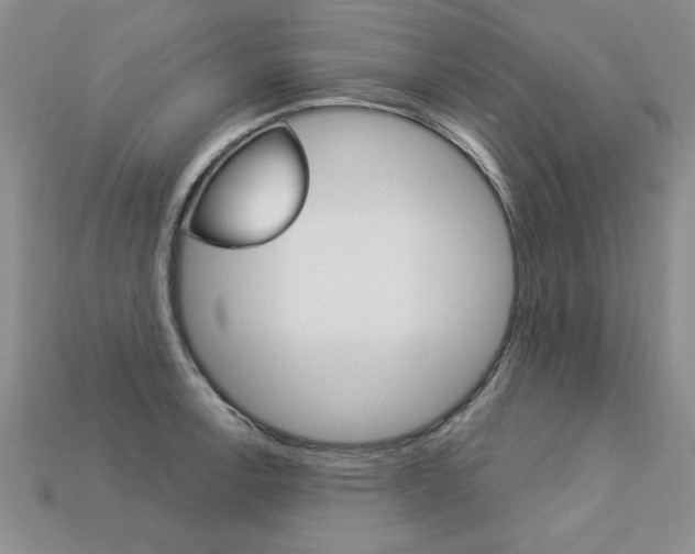 X0000113271138200909101305