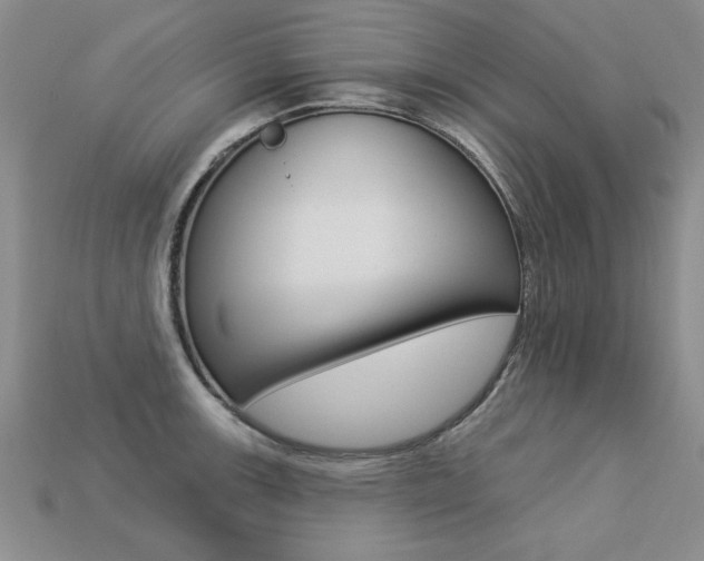 X0000113271139200909101305