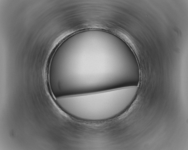 X0000113271141200909101305