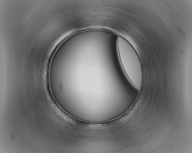 X0000113271142200909101305