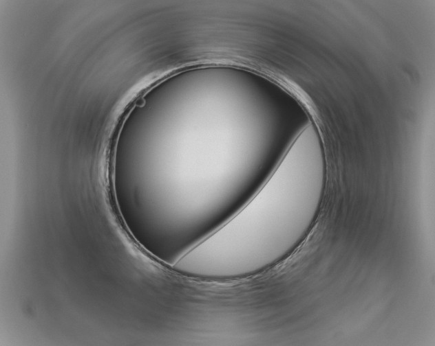 X0000113271144200909101305