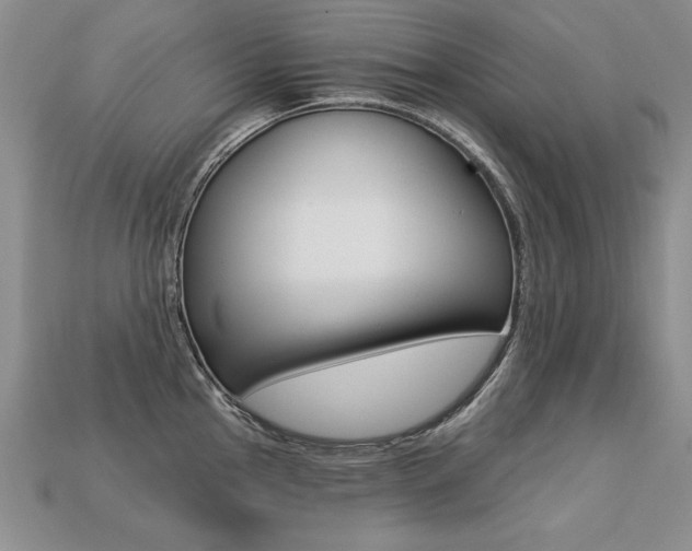 X0000113271145200909101305