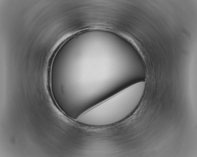 X0000113271147200909101305