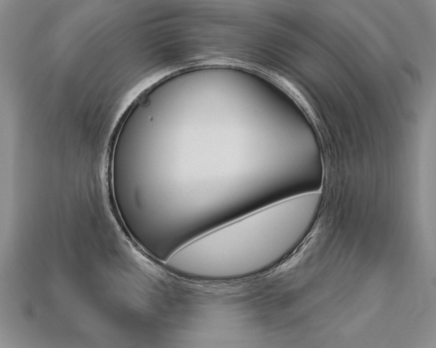 X0000113271149200909101305