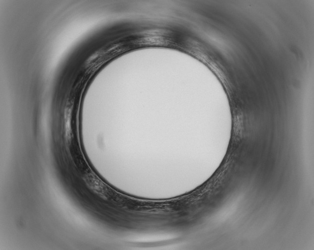 X0000113271150200909101305