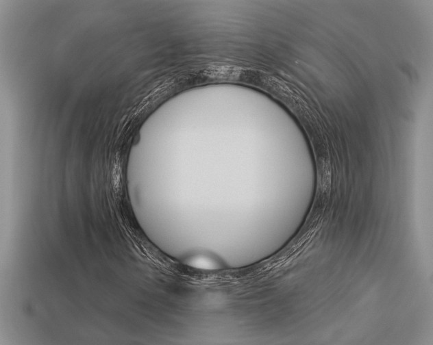 X0000113271154200909101305