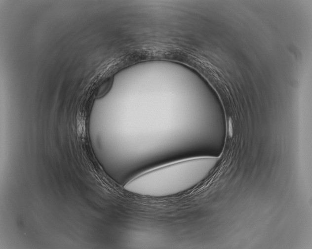 X0000113271155200909101305