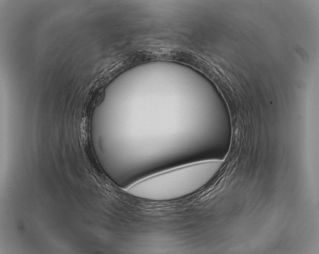 X0000113271156200909101305