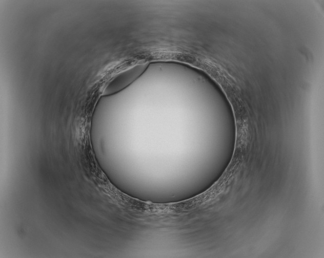 X0000113271157200909101305