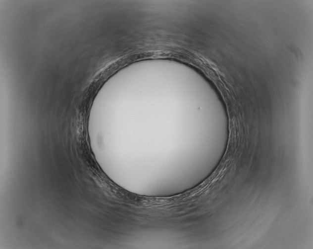 X0000113271158200909101305