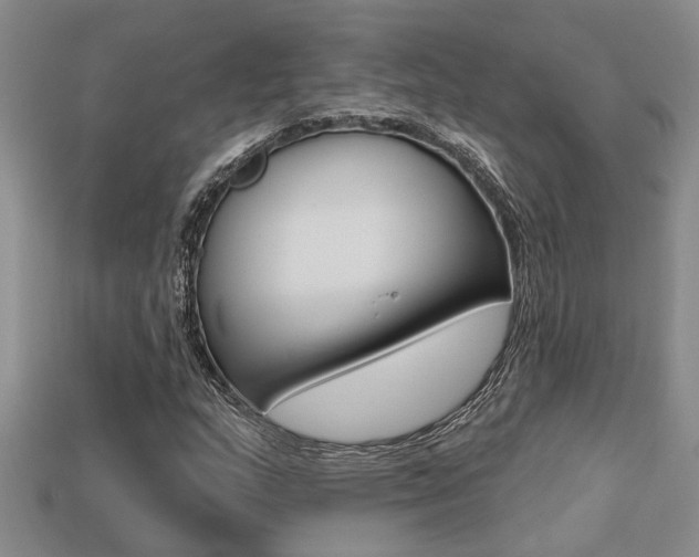 X0000113271159200909101305