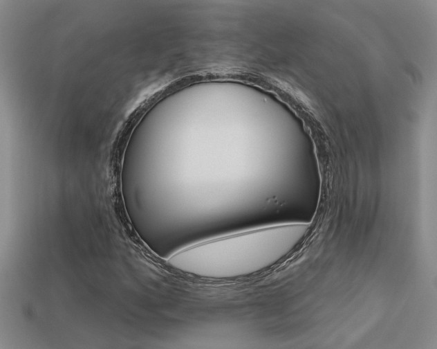 X0000113271160200909101305