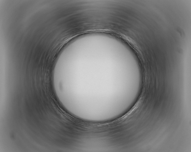 X0000113271161200909101305
