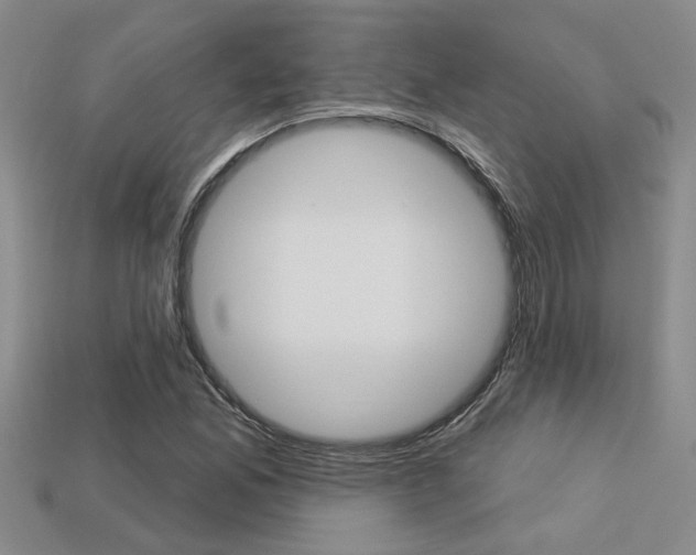 X0000113271165200909101305