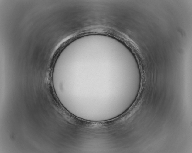 X0000113271166200909101304