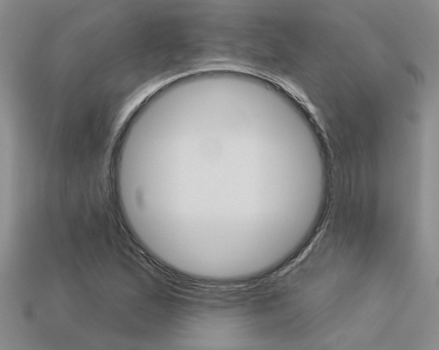 X0000113271167200909101304