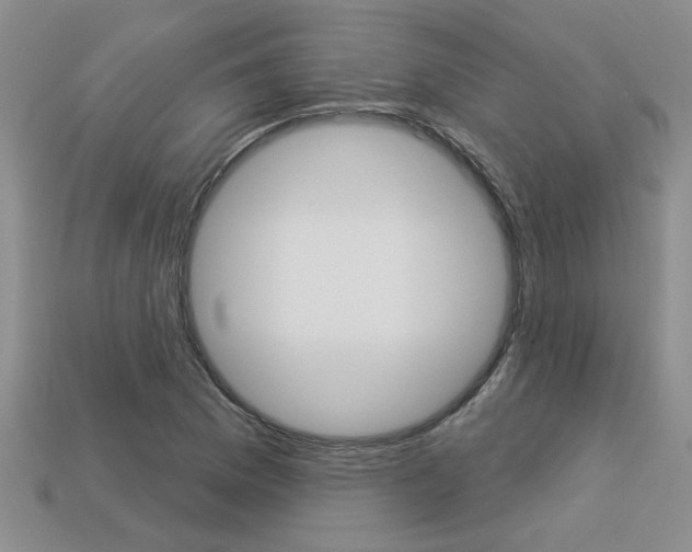 X0000113271169200909101304