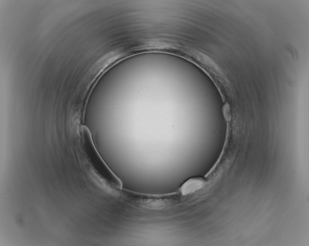 X0000113271177200909101304
