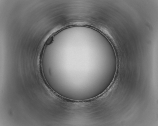 X0000113271181200909101304