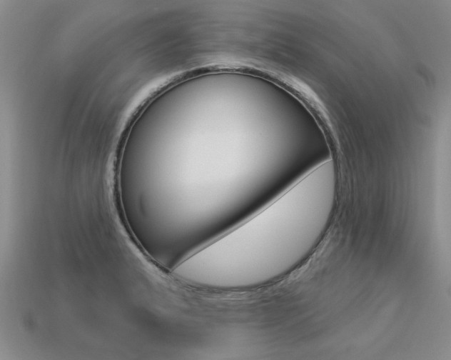 X0000113271183200909101304