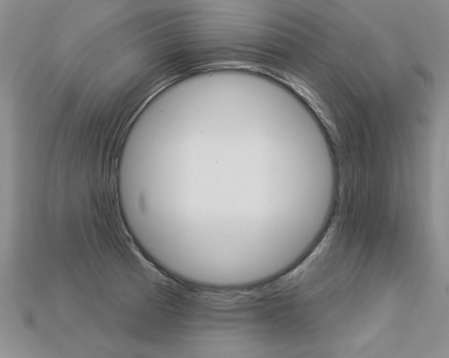X0000113271185200909101304