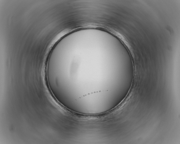 X0000113271187200909101304