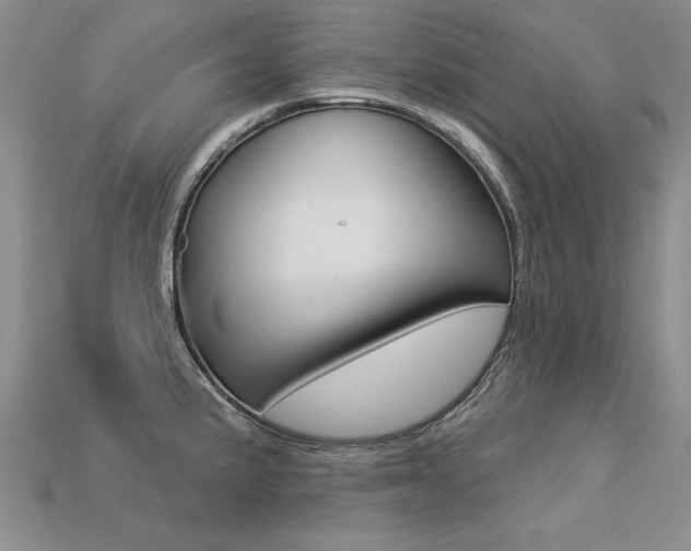X0000113271191200909101304