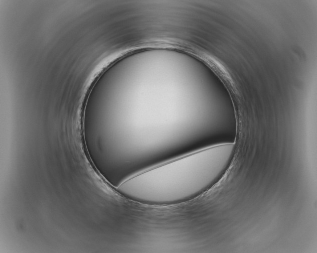 X0000113271192200909101304