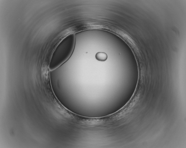X0000113271193200909101304