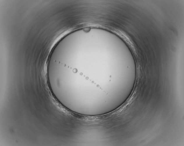 X0000113271198200909101304