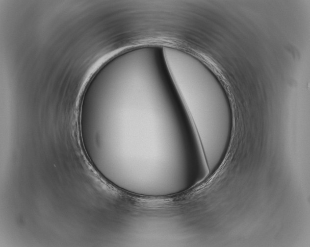 X0000113271200200909101304