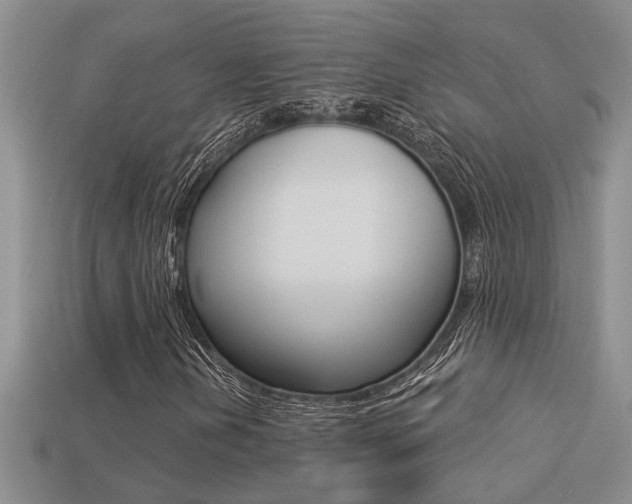X0000113271202200909101303