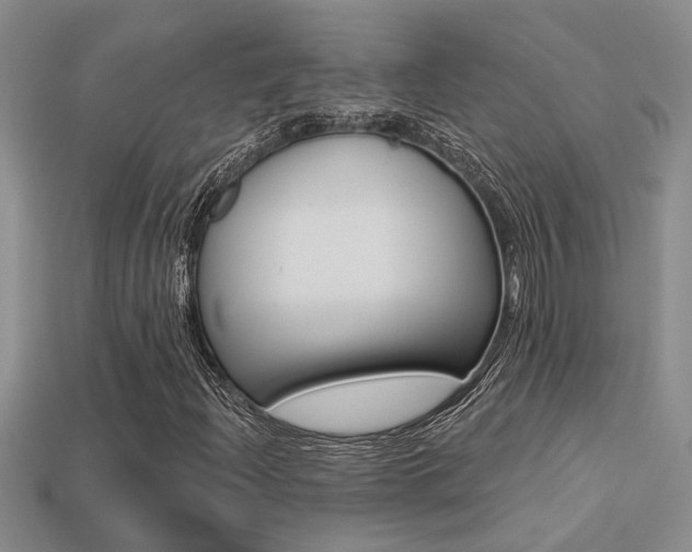 X0000113271204200909101303
